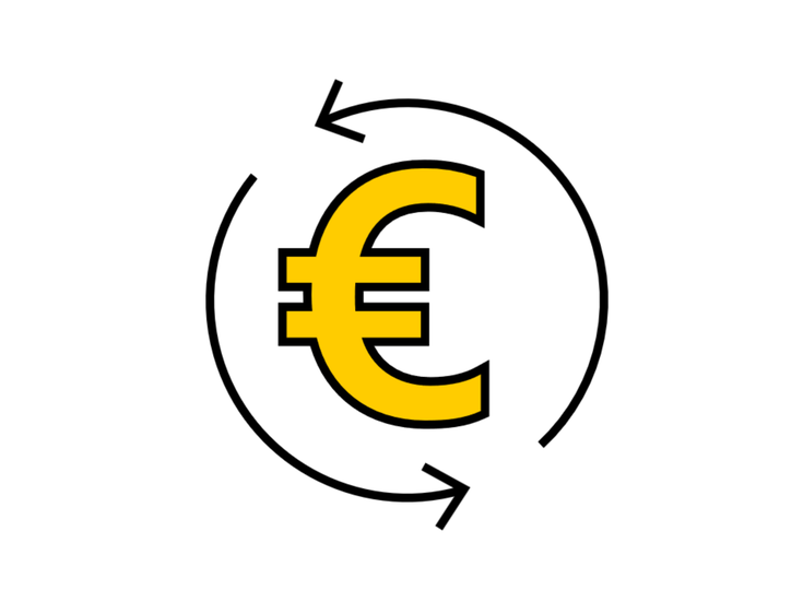 Icon Eurozeichen "Wirtschaftlich"