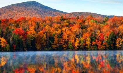Goldener Herbst