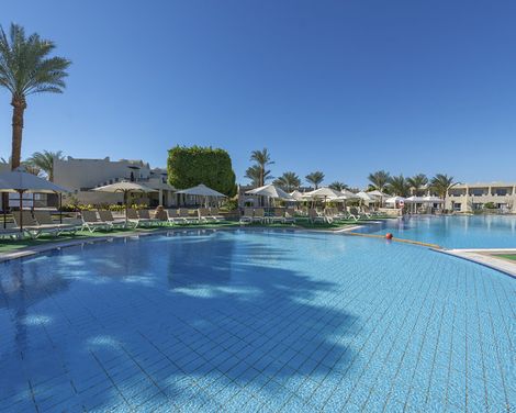 Reef Oasis Beach Resort-1