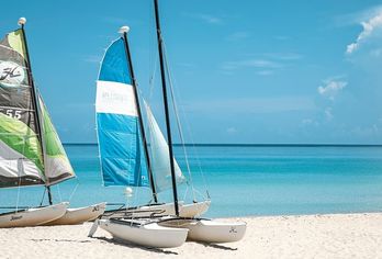 Hotel, Hotel Los Cactus