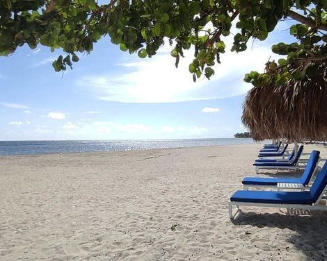 Serenade Punta Cana Beach & Spa Resort-1