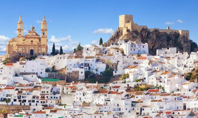Spanien – Andalusisches  Temperament 