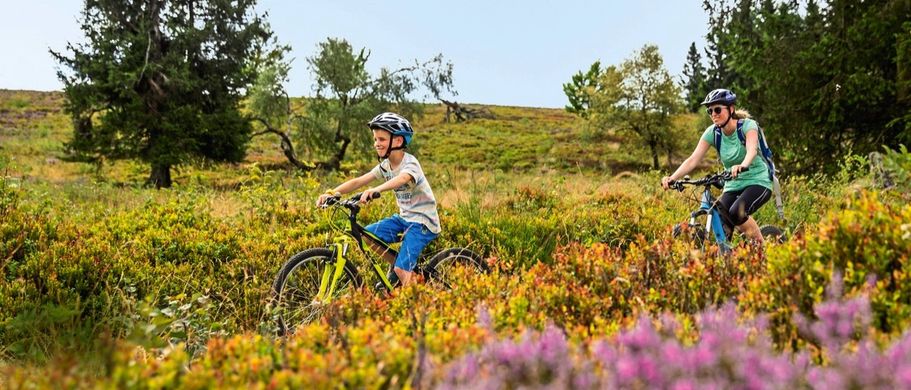 Mountainbiketour im Sauerland