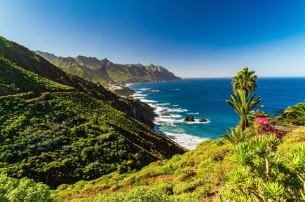 Anaga-Küste auf Teneriffa, Spanien, Berghängen, die zum tiefblauen Atlantik abfallen, wo sich weiße Wellen an der felsigen Küste brechen, unter einem klaren blauen Himmel. Eine einzelne Palme und blühende Pflanzen sind im Vordergrund sichtbar.