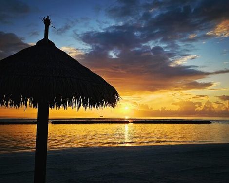 Joy Island-1