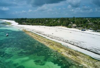 Papillon Lagoon Reef