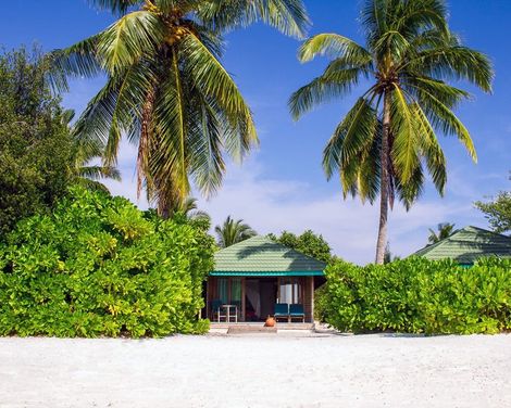Canareef Resort Maldives-3