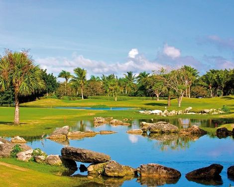 Meliá Caribe Beach Resort-0