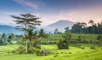 Traumurlaub auf Bali