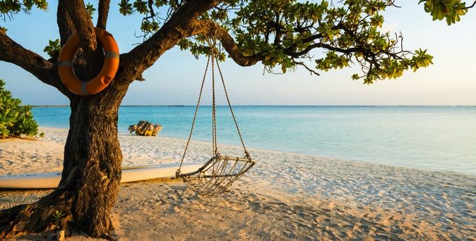 Eine Holzschaukel unter einem Baum an einem Strand.