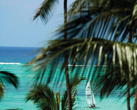 ananea Diamonds Mapenzi-4