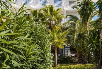 Hotel, Globales Palmanova