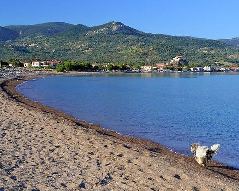 Panorama Resort Hotel-1