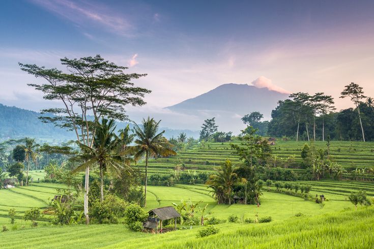 Ratgeber für Ihre Indonesien-Reise