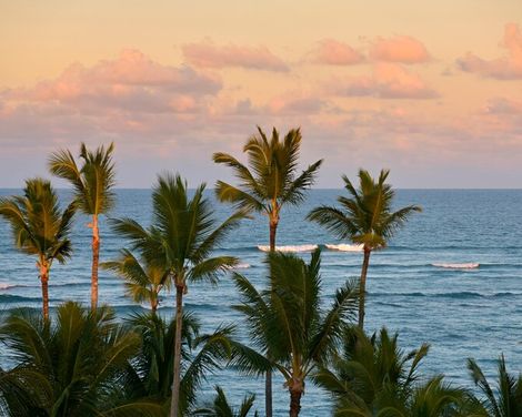 Iberostar Waves Dominicana-2