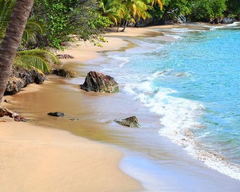 Bahia Principe Grand Samana-1