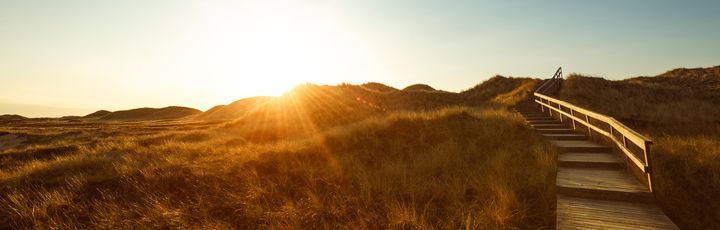 Dünen im Sonnenlicht