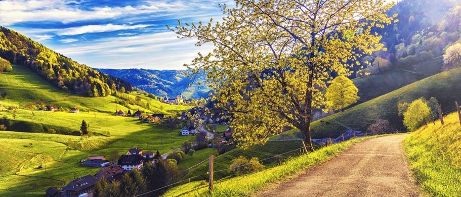 Schwarzwald
