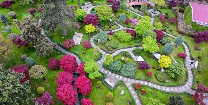 Drohnenperspektive auf japanischen Garten in Batumi Anfang Mai: Rosa Rhododendronblüten und rote Ahornbäume