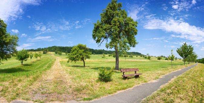Eine weitläufige, grüne Landschaft des Biosphärenreservats Bliesgau im Saarland, die sanfte Hügel und Felder unter einem bewölkten Himmel zeigt.