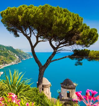 Ischia an der Amalfiküste mit Blick auf Baum und Dächer einer alten Kirche die an der Küste zum Meer stehen.