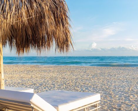 Tropical Deluxe Princess-0