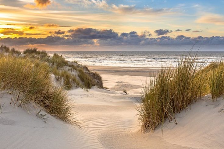 Ein Sandstrand mit Dünen und Gras.