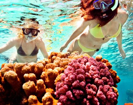 Zwei Schnorchlerinnen entdecken ein farbenprächtiges Korallenriff im klaren Wasser des Roten Meeres.