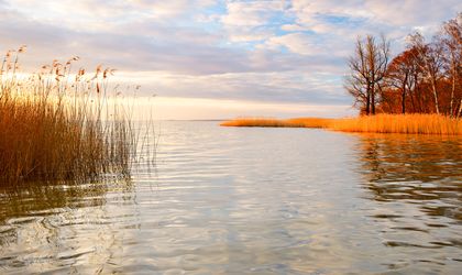 Ein See bei Sonnenuntergang mit warmem Licht, das sich im Wasser spiegelt, Bäume am Ufer.