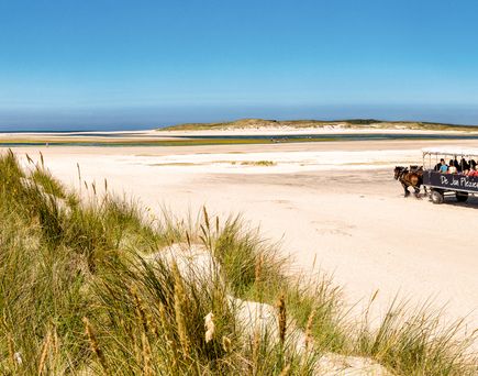 Ein Sandstrand mit Gras und einem Fahrzeug in der Ferne.