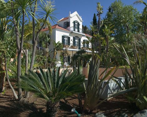 Quinta do Estreito Vintage House-4