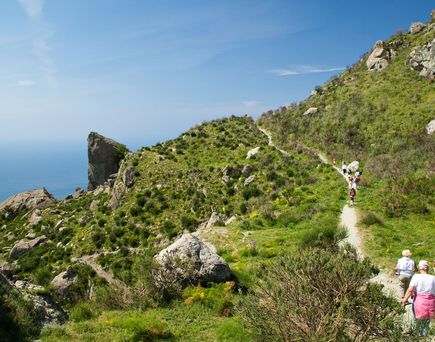 Eine felsige Küstenlandschaft mit grüner Vegetation.
