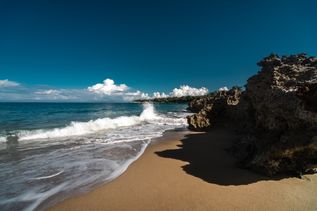 Playa Sosua Palme am Strand 