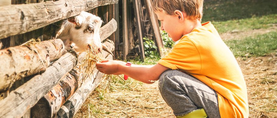 Familienurlaub Bauernhof Kind füttert Ziege