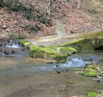 Albena Nationalpark in Bulgarien
