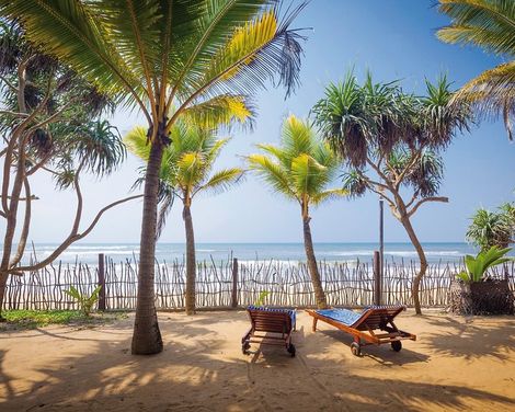 Siddhalepa Ayurveda-2