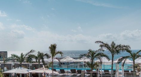 The Reef 28