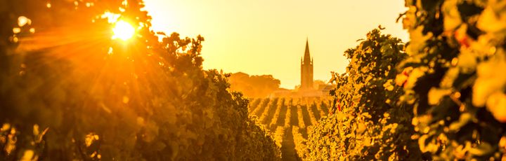 Bordeaux Wein Saint Emilion