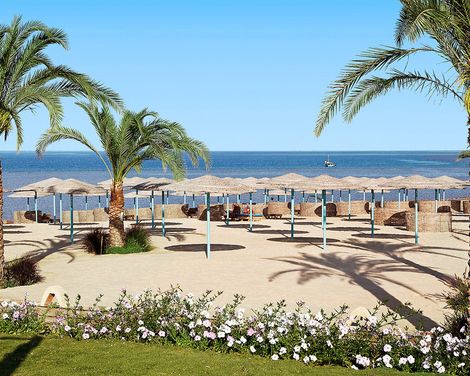 Three Corners Sunny Beach Resort-0