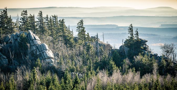 Blick auf eine wolkige Wetterlage im Wald vom Harz