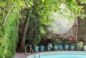 Hotel, Le Windsor, Jungle Art Hotel