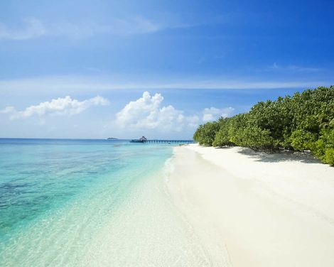 NH Collection Maldives Reethi Resort-0