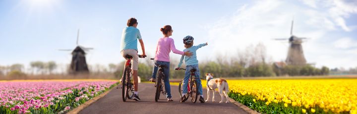 Eine Gruppe von Menschen, die vor einer Windmühle und Tulpenfeldern stehen.