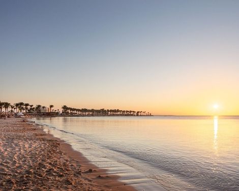 Palm Royale Resort - Soma Bay-2