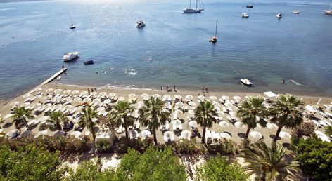 Tropical Beach Hotel