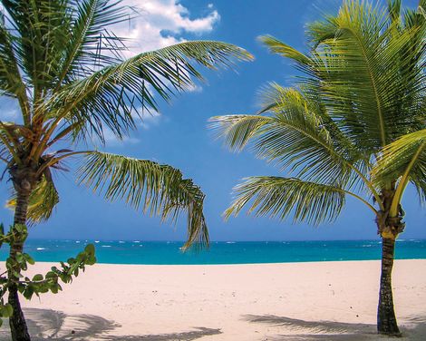 Viva Heavens by Wyndham, A Trademark All Inclusive-1