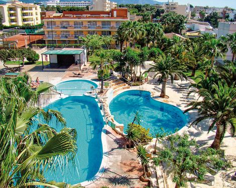 Club Simó Affiliated by Senator-2