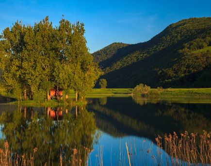 Ein See mit Bäumen und Bergen, die sich im Wasser spiegeln.