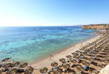 Hotel, Reef Oasis Beach Resort