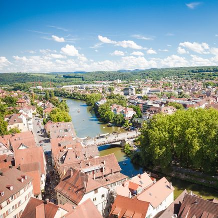  Blick von der Stiftskirche über Altstadt und Neckar 